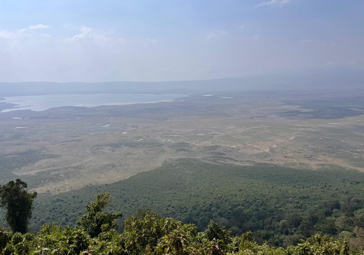 Imagen principal - Paisajes de la sabana africana.