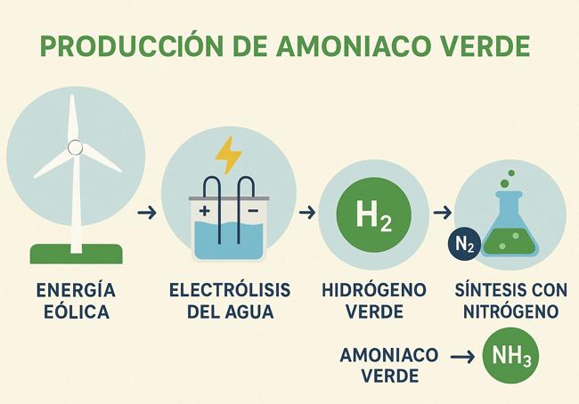 Infografía sobre la producción de amoniaco verde.