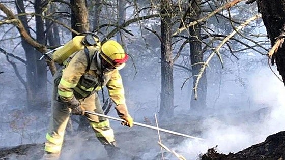 Más de 1,5 millones de euros para la prevención de incencios en la comarca de Quintanar de la Sierra