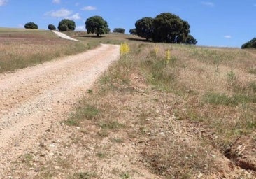104.000 euros para reparar un camino vecinal que une dos pueblos de Burgos