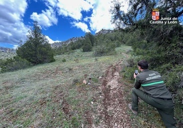 Interceptados dos motoristas circulando por zonas no habilitadas de un parque natural de Burgos