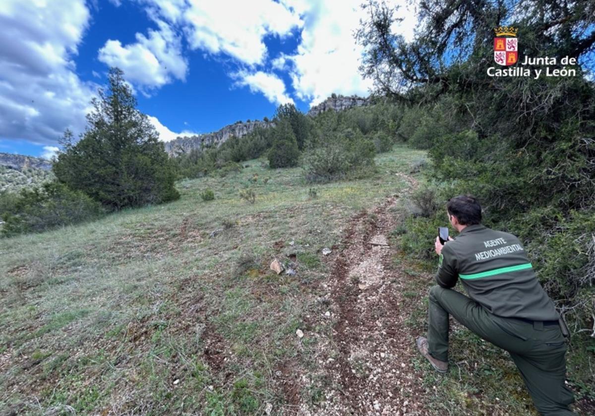 Roderas provocadas por la circulación de las motos en el parque natural.