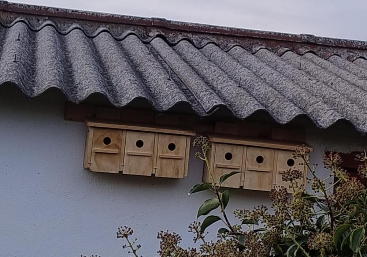 Instalarán 69 cajas nido en la provincia de Burgos para refugiar aves