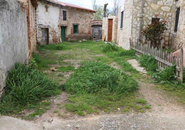 Una de las calles del pueblo 'comida' por la hierba.