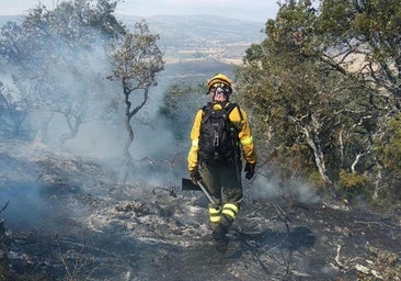 «Estamos quemados»: un trabajador forestal de Burgos denuncia convenio obsoleto e irregularidades