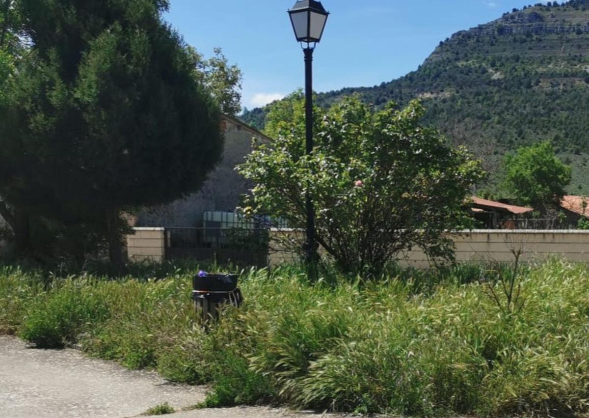 Imagen secundaria 1 - Rincones de pueblos de Burgos con altas hierbas por el retraso en la contratación. 