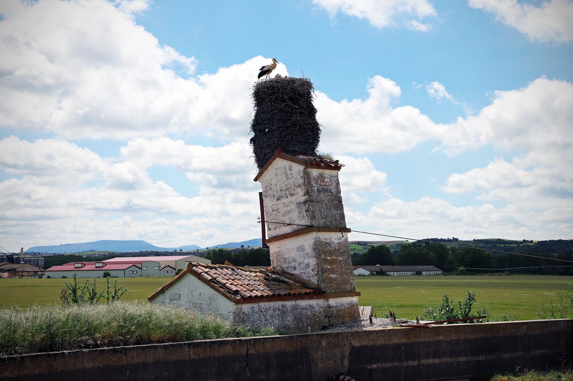 El cable con el que se ha intentado sujetar la torre inclinada de la estructura.