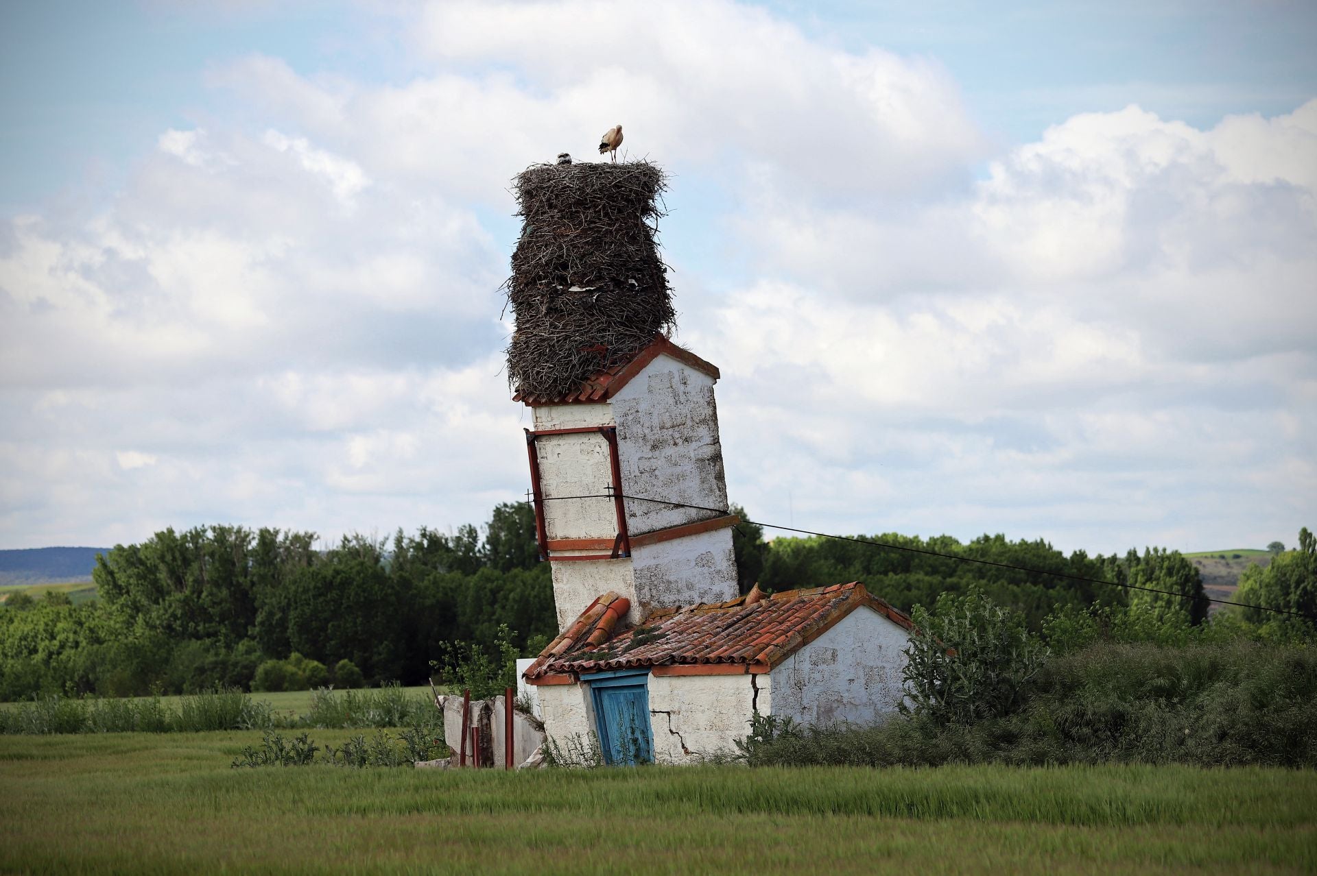 Así es el gigantesco y más famoso nido de cigüeña que está en Burgos sobre una torre inclinada
