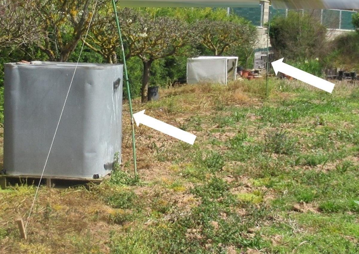 Imagen secundaria 1 - La red de trampeo prohibida desinstalada y también instalada en el huerto, con restos de aves. 