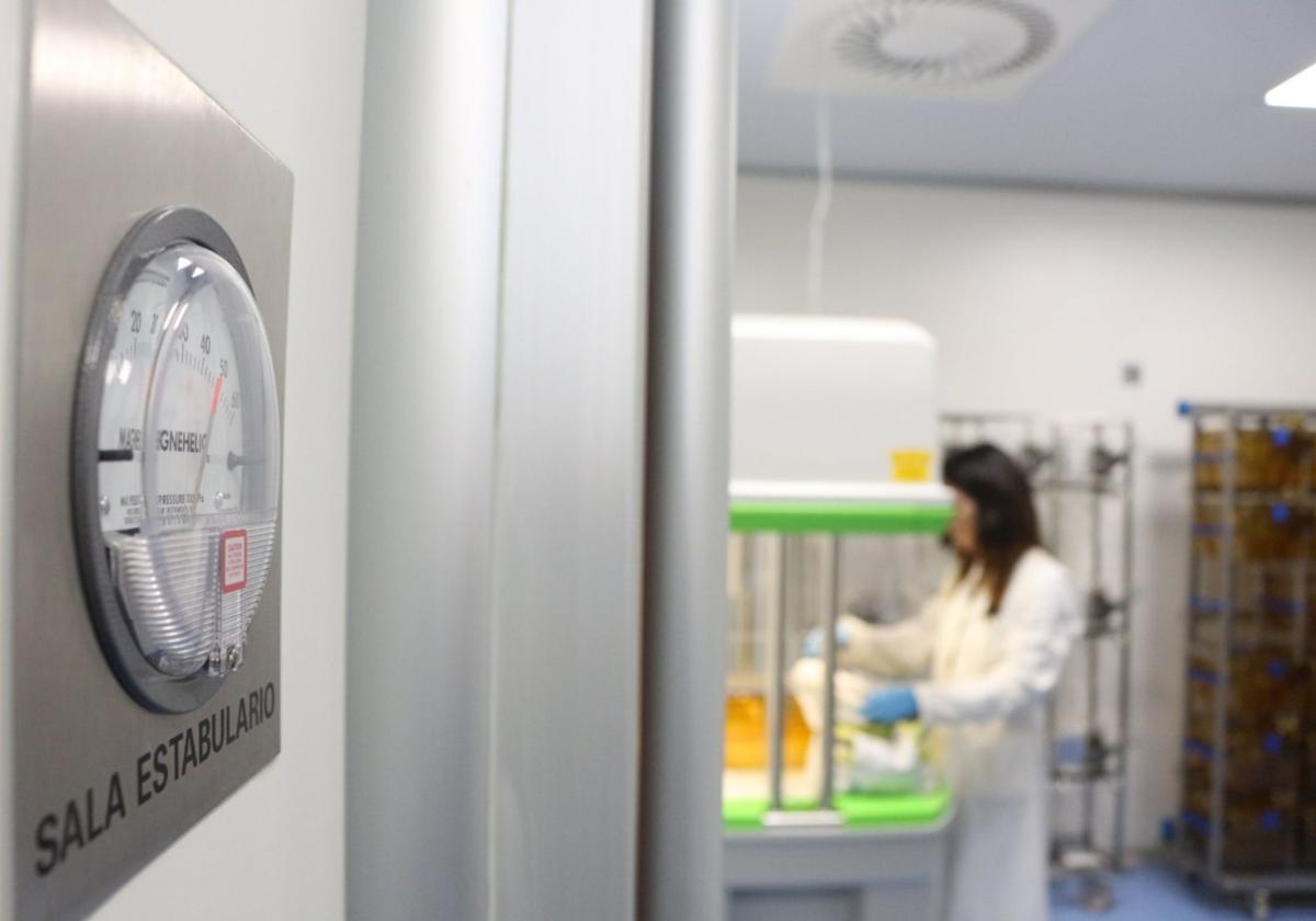 Comienza a funcionar el Instituto Biosanitario de Burgos