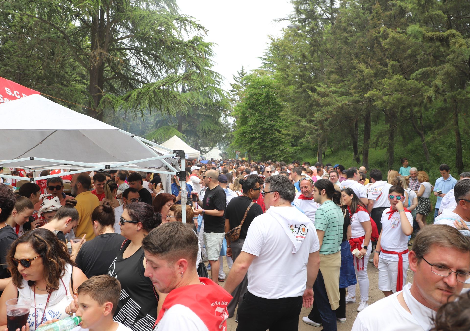 Así ha sido en imágenes la romería de la Blanca en Burgos