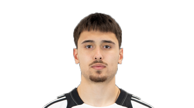 Nikola Milicic