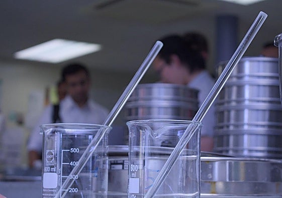 Castilla y León recibe 175.000 euros para cuatro proyectos de establecimiento de redes de investigación