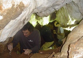 El yacimiento de Valdegoba revela que las aves complementaban la dieta neandertal en la meseta.