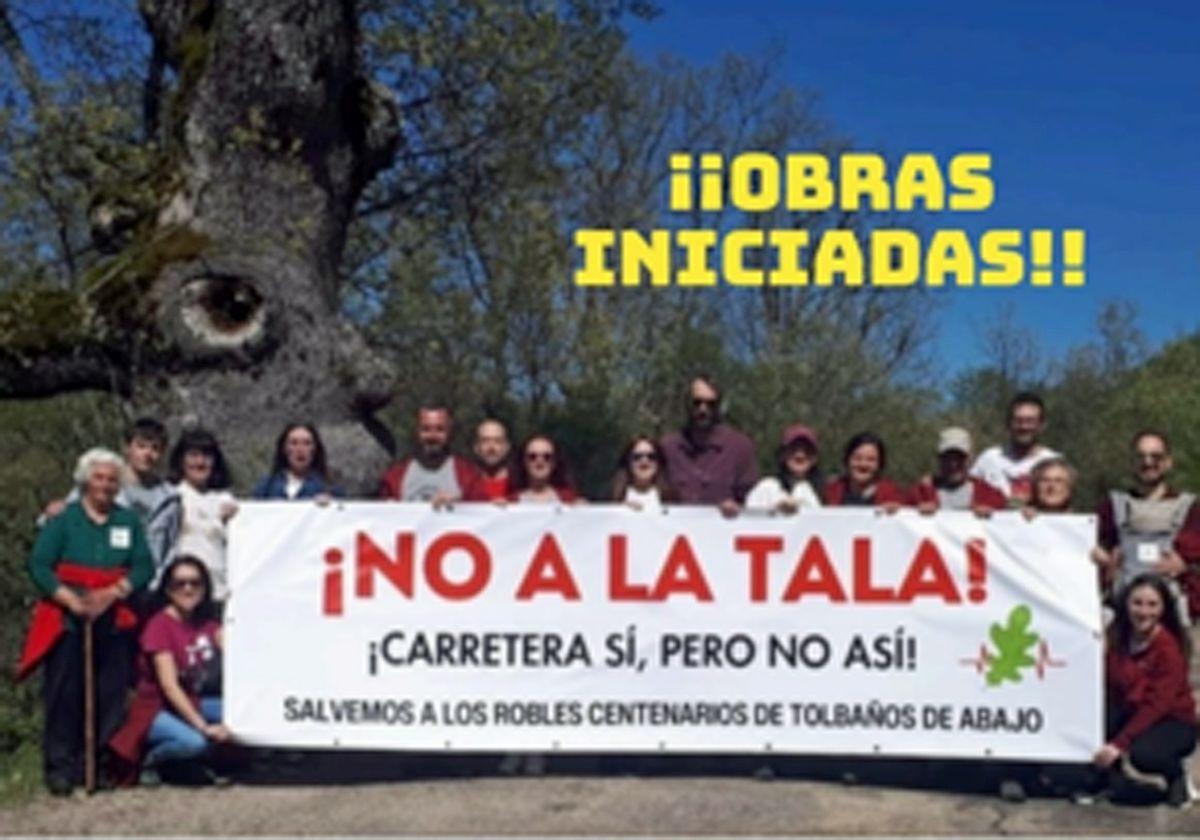 Una nueva concentración en Burgos exigirá frenar la tala de robles centenarios de Tolbaños