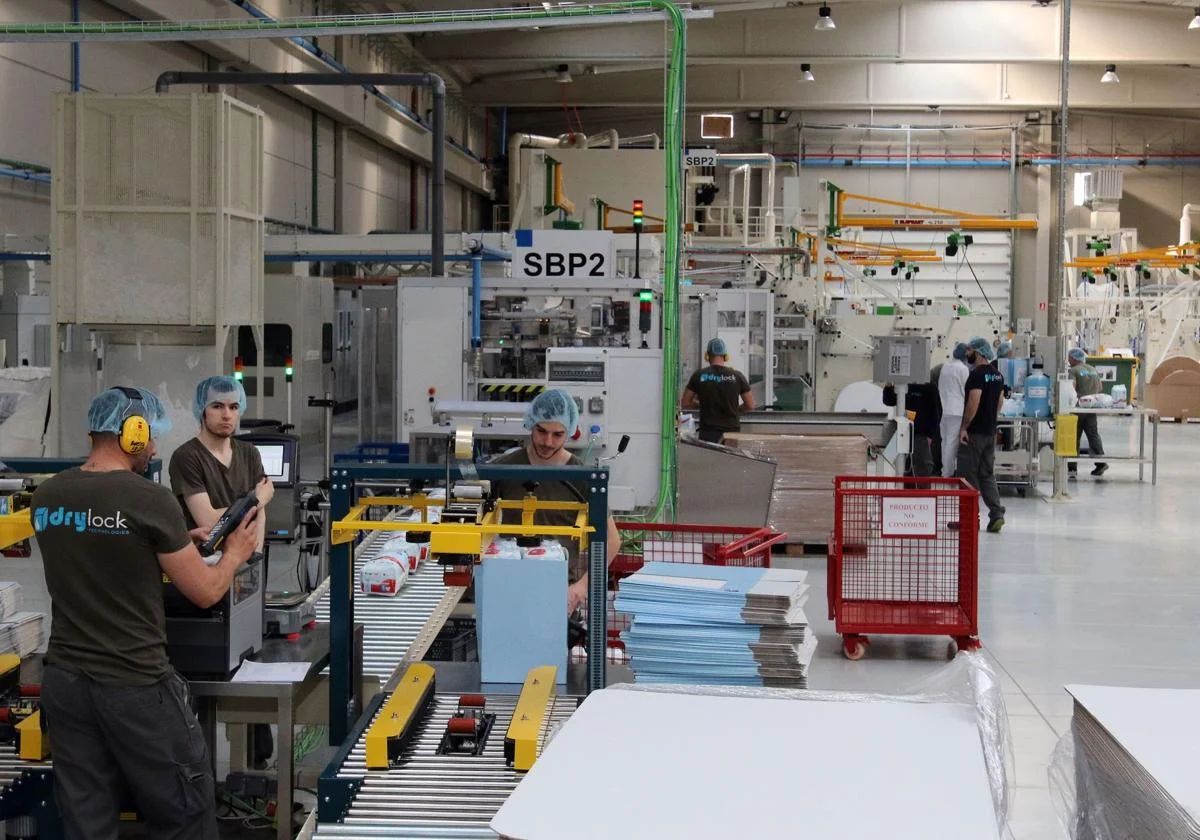Castilla y León concentra 1.231 empresas de Alto Crecimiento, el 4% del conjunto nacional