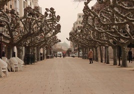 Imagen de archivo de calima en el paseo del Espolón de Burgos