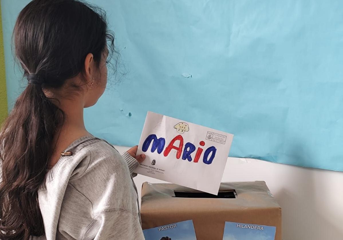 Una alumna envía su carta a otro colegio de la comarca.