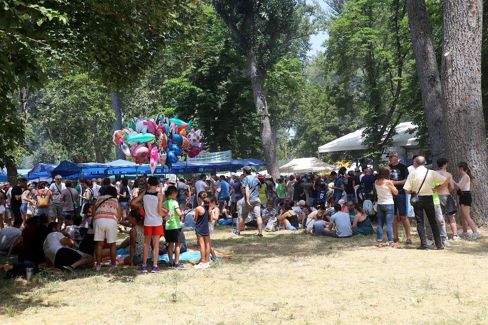 Las imágenes de La Quinta en El Curpillos 2025