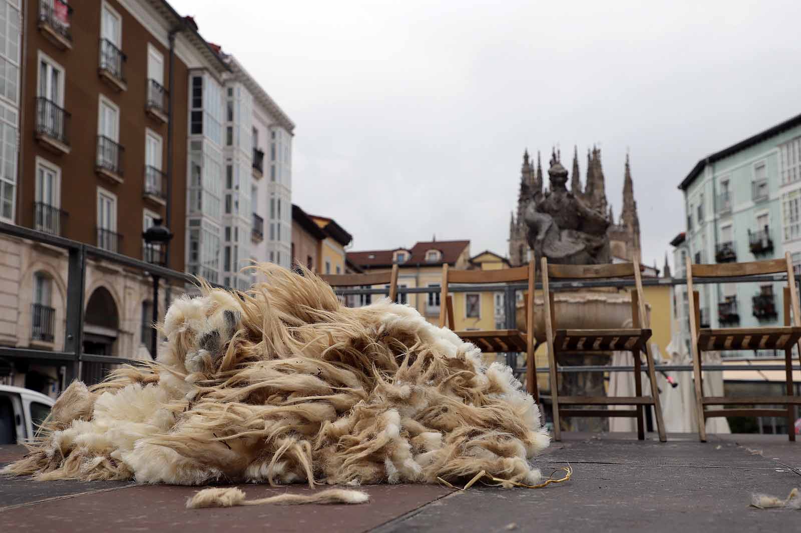 La fiesta del esquileo en Burgos, en imágenes