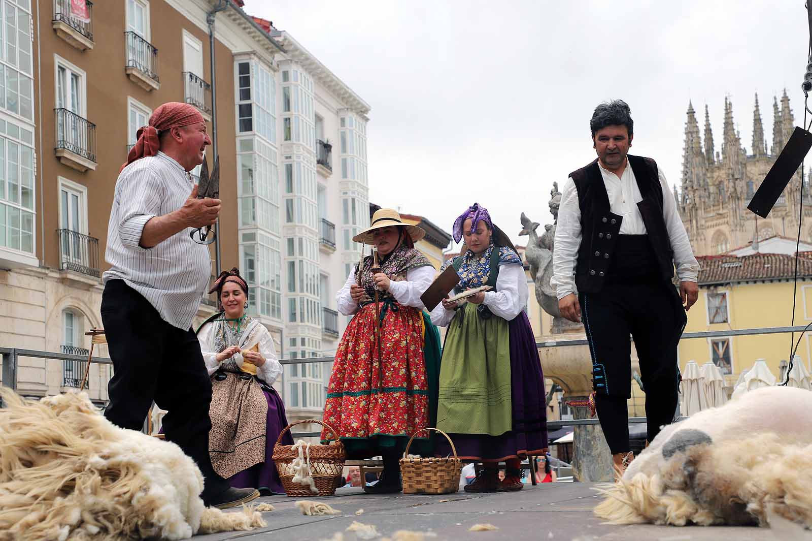 La fiesta del esquileo en Burgos, en imágenes