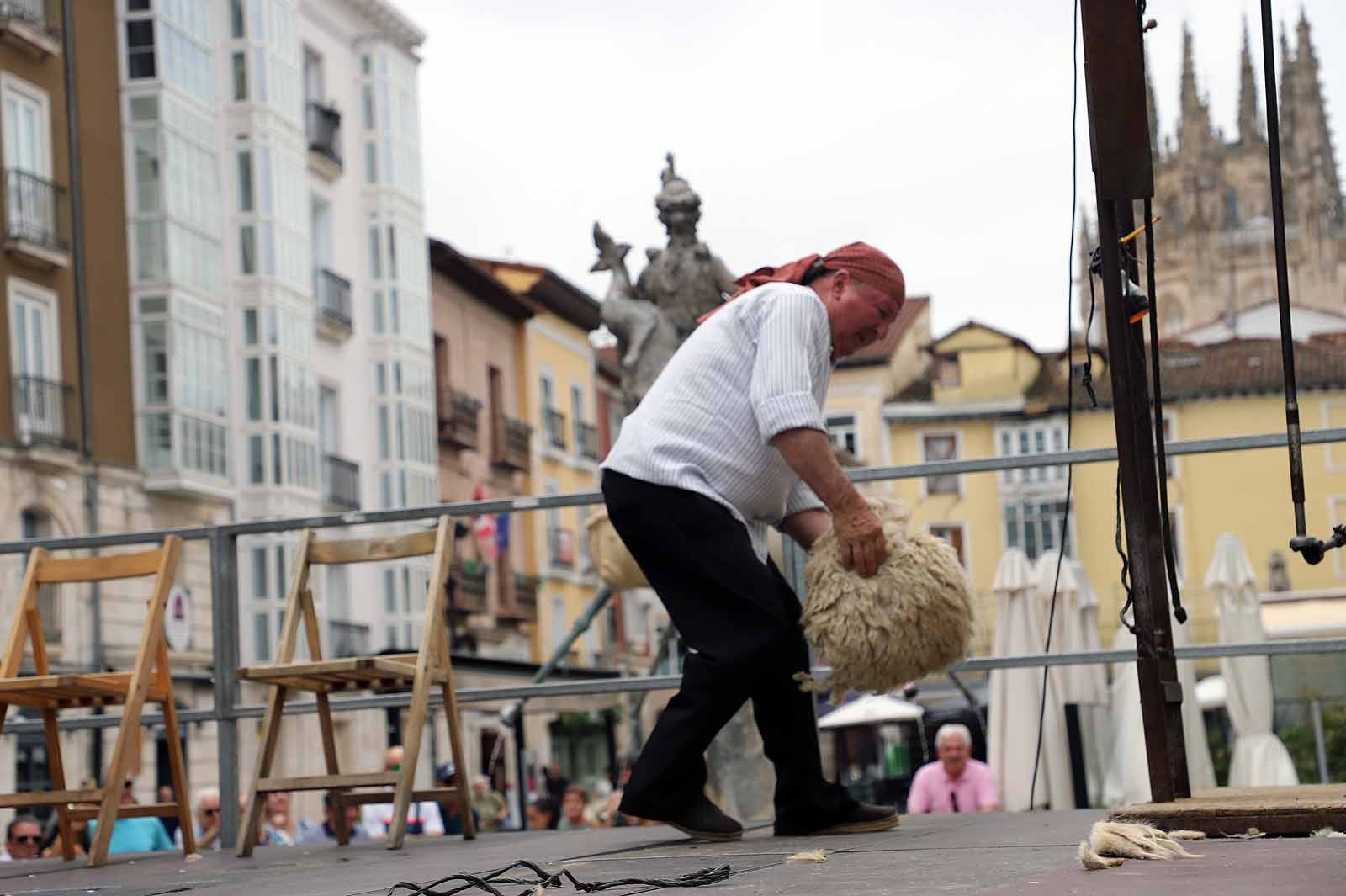 La fiesta del esquileo en Burgos, en imágenes
