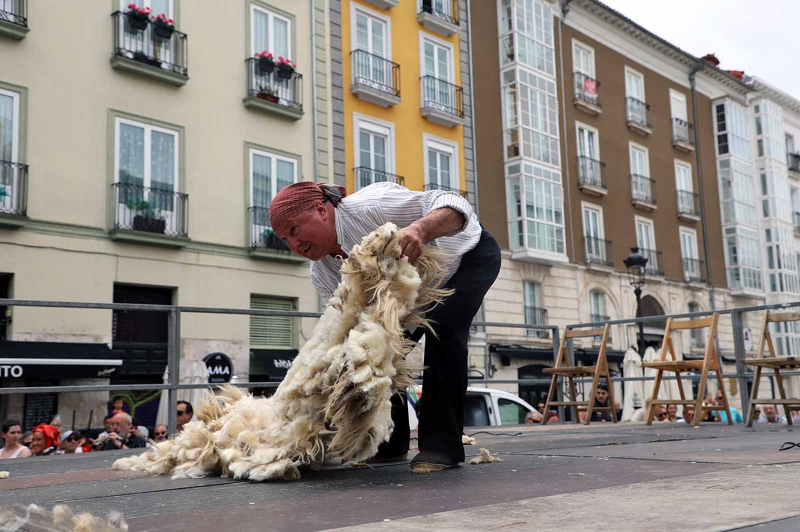La fiesta del esquileo en Burgos, en imágenes