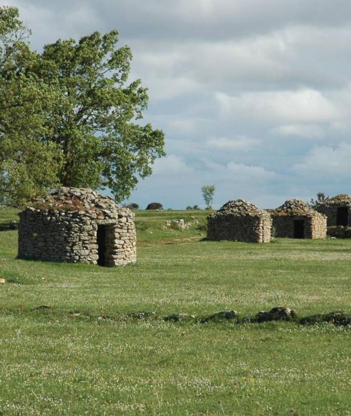 Imagen secundaria 2 - Fotografías tomadas por el grupo de investigación de patrimonio natural y cultural de la provincia de Burgos. 