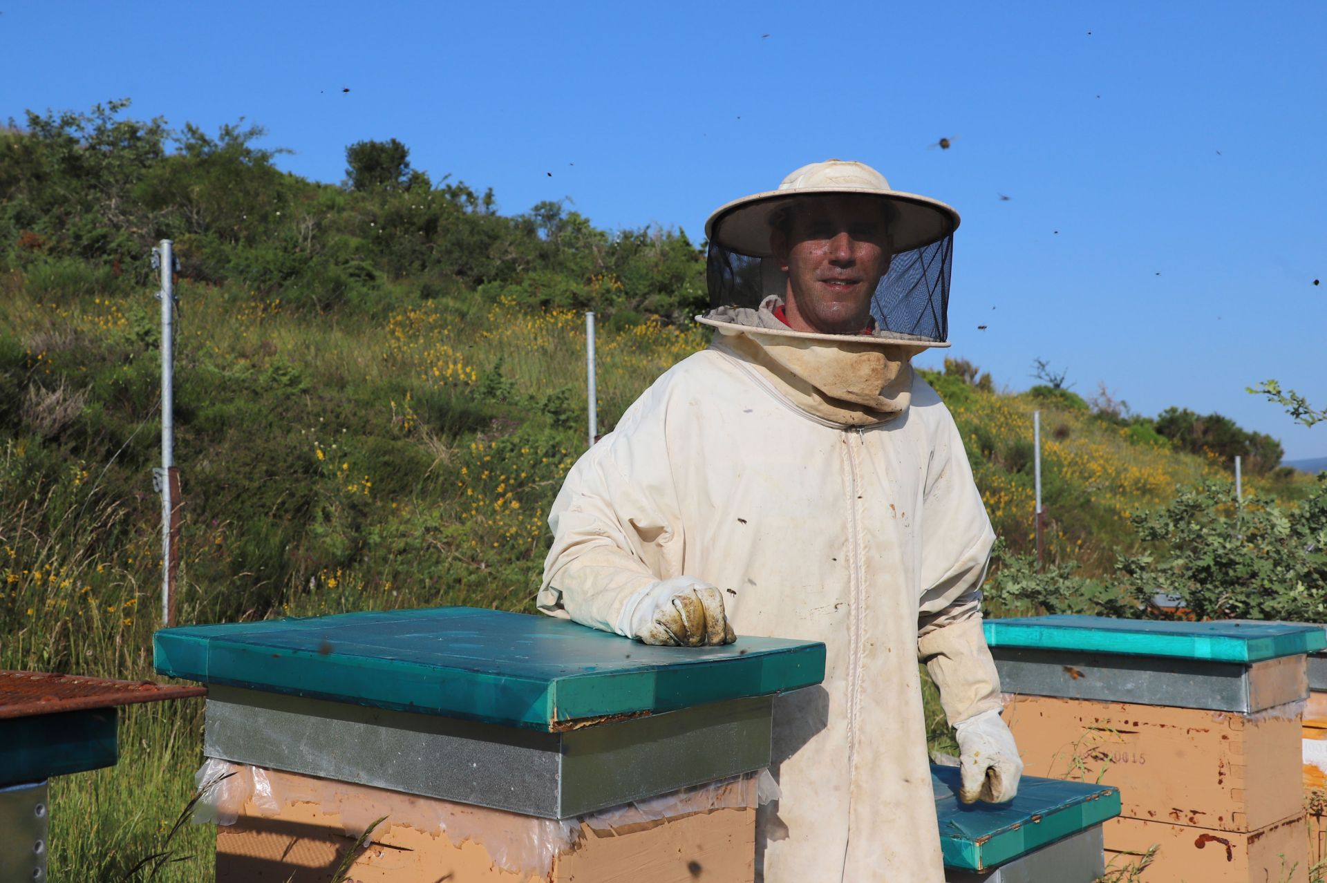 Entre vacas y abejas: así son los ganados de dos jóvenes en un pueblo de Burgos