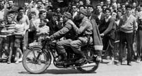 Un león del 'Circo Price' suelto en 1959