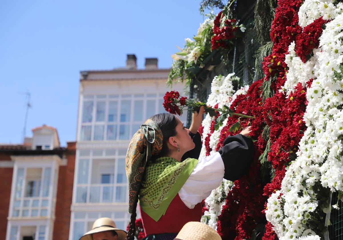Flores, tradición y emoción: las imágenes de la Ofrenda Floral de los Sampedros 2025
