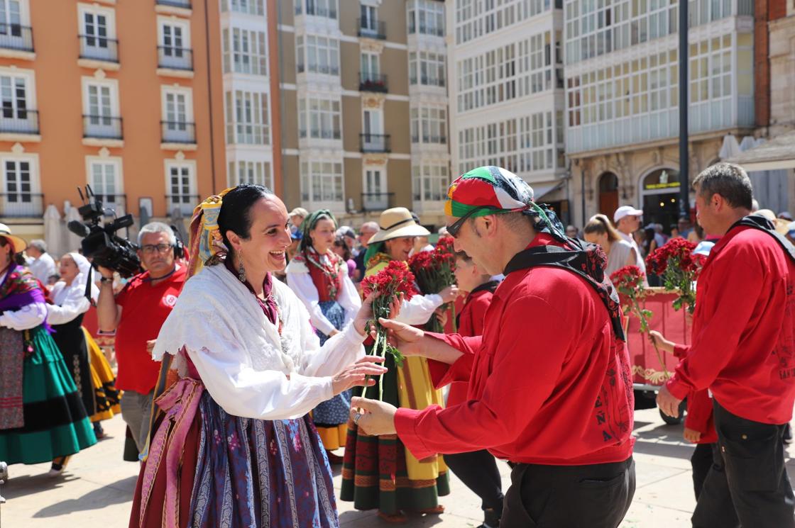 Flores, tradición y emoción: las imágenes de la Ofrenda Floral de los Sampedros 2025