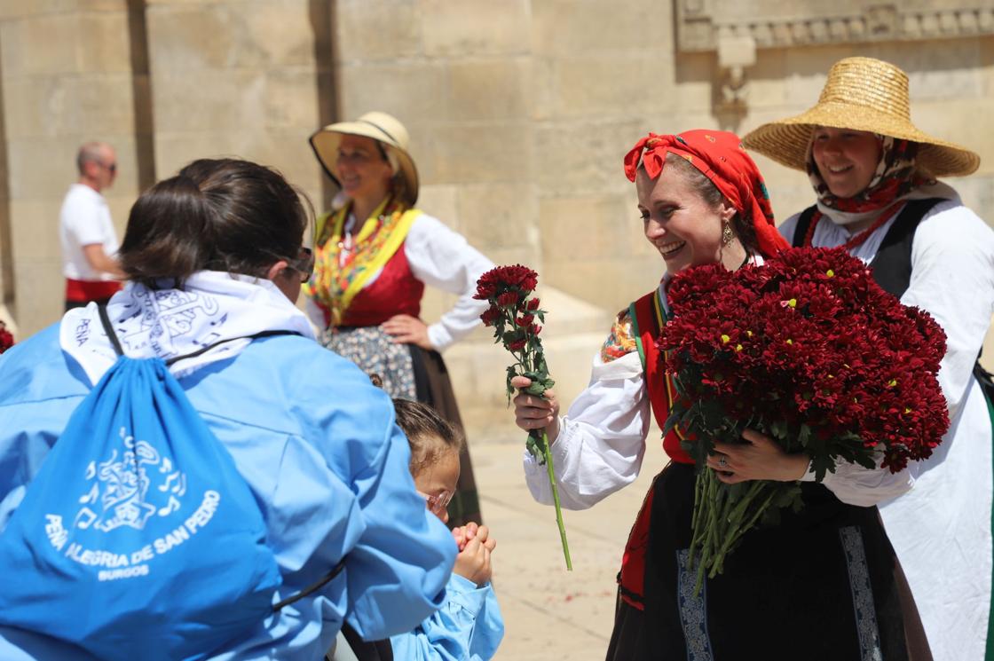 Flores, tradición y emoción: las imágenes de la Ofrenda Floral de los Sampedros 2025