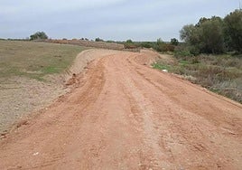 Imagen de archivo de un camino de concentración parcelaria.