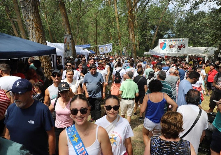 Miles de burgaleses abarrotan el parque de Fuentes Blancas con motivo del Día de las Peñas.