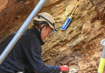 Atapuerca arranca fuerte: fósiles humanos, herramientas y fauna confirman un pasado lleno de vida