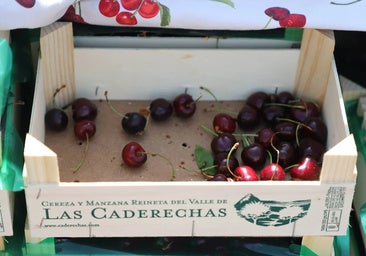 Las cerezas de las Caderechas regresarán este domingo a Miranda de Ebro