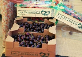 La cereza de Las Caderechas es el ingrediente común a todos los paltos que elaborarán los establecimientos de hostelería participantes.