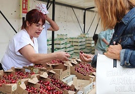 Día de las Cerezas en Burgos.