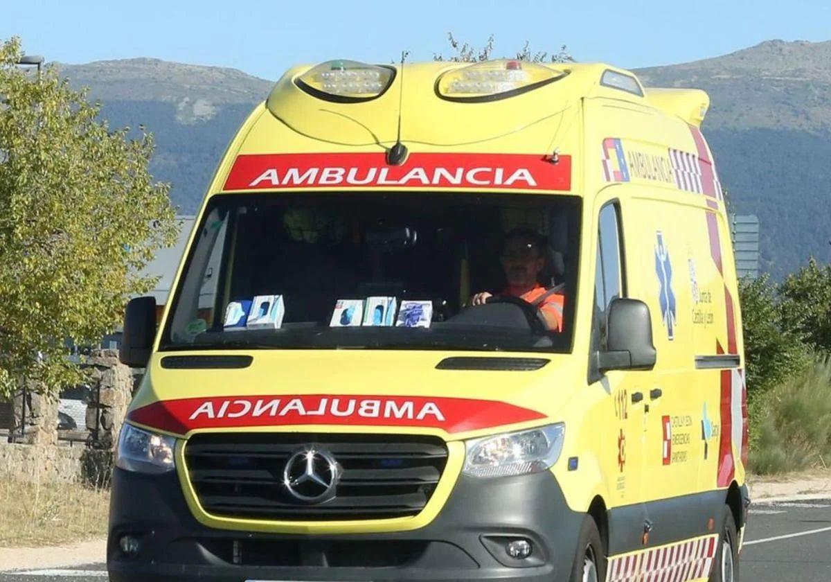 Guardia Civil de Burgos y una ambulancia de Sacyl se han desplazado hasta el lugar.