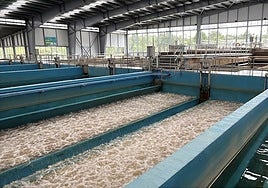 Piscinas de lavados de los filtros de arena.