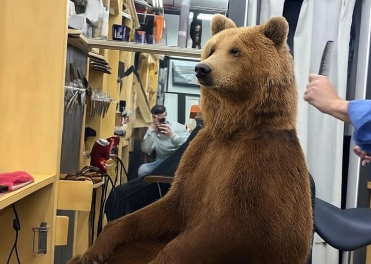 Imagen secundaria 1 - Imágenes humorísticas creadas por los vecinos con el suceso del oso. 