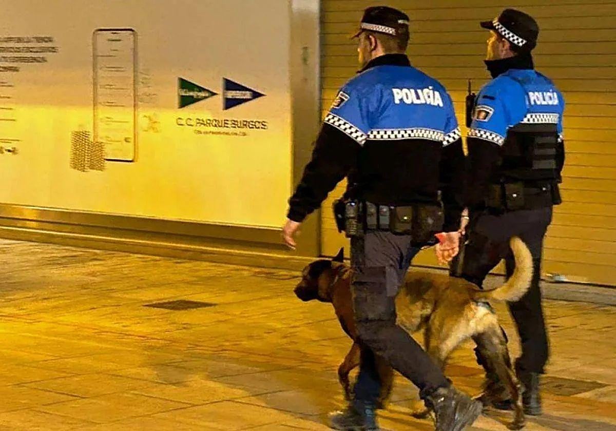 La Unidad Canina de la Policía Local de Burgos detectó el arma de fuego.