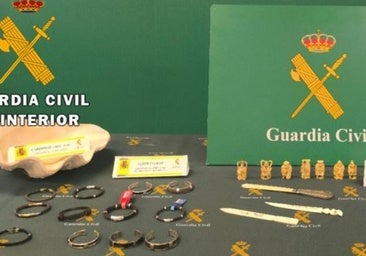 Burgos, escenario de una operación contra el tráfico de marfil de elefante con once investigados
