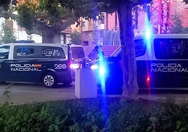 Imagen de los coches policiales en el centro de Aranda