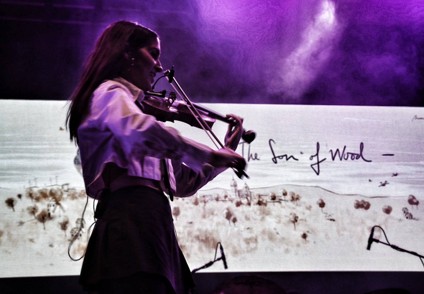 El Alpaka Fest en imágenes, el festival de música y resistencia rural de un pueblo de Burgos
