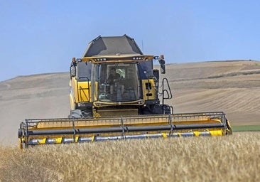 UCCL pide poder cosechar en zonas frescas de Burgos pese a la alerta por incendios