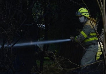 Medios aéreos y terrestres consiguen controlar un incendio en Melgar