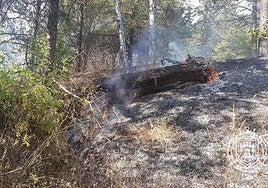 Fuego en el cerro del Castillo este 4 de agosto.