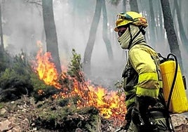 La Junta pide colaboración para evitar negligencias y delitos que desencadenan fuegos